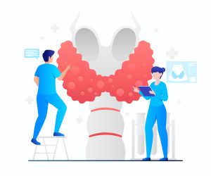 thyroide-article-signes cliniques-elnutritionfonctionnelle-Une thyroïde qui fonctionne mal : et si vos symptômes venaient de là ?